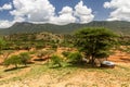 Samburu tribe huts near South Horr village, Ken