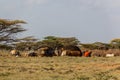Samburu tribe village near Marsabit town, Ken