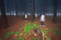 Same female figure walking in forest