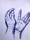 Hands drawn with a ballpoint pen