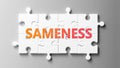 Sameness complex like a puzzle - pictured as word Sameness on a puzzle pieces to show that Sameness can be difficult and needs