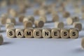 SAMENESS - image with words associated with the topic COMMUNITY OF VALUES, word, image, illustration