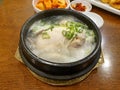 Samgye-tang, or ginseng chicken soup. Korean traditional soup for body health. Royalty Free Stock Photo