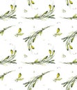 Samless pattern from mistletoe branches. Watercolor hand drawn illustration