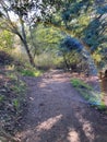 Samll rainbow on a trail in a forest