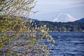 Sammamish Lake with Rainier in background