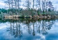 Sammamish River Trees