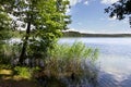 Sammer landscape with the lake and the forest