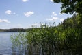 Sammer landscape with the lake and the forest