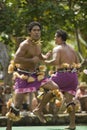 Samoan Dancer 1578