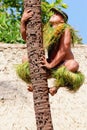 A Samoan man demonstrates how to climb a coconut tree Royalty Free Stock Photo