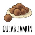 Gulab jamun. Indian traditional food. Vector color realistic illustration. Isolated on white