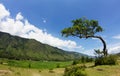 Beautiful mountain landscape, Samosir Island, Lake Toba, North Sumatra, Indonesia Royalty Free Stock Photo