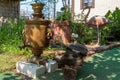 samovar in the garden. The samovar is melting. Tea drinking with an old samovar, cups and a kettle on a summer day Royalty Free Stock Photo