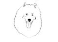 Samoyed dog animal cute face.Eskimo spitz, Samoiedskaya Sabaka, Sammy head portrait. Vector illustration. Logo design.