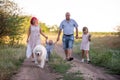 Samoyed dog walking with bright diversity family the paths in field summer. Traveling with pets Royalty Free Stock Photo