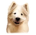 Vector Samoyed Laika Samoyed spitz animal cute face. Vector portrait of a puppy head. Realistic fur portrait isolated on white bac