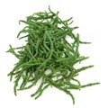 Samphire