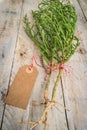 Samphire coastal vegetable