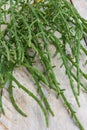 Samphire coastal vegetable on wood background. Salicornia europaea