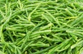 Samphire