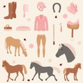 Horse riding sport clip art collection. Horses and equipment.