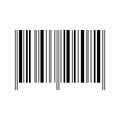 Sample of barcode label template isolated on white background. Bar code mockup. Visual data digital representation with Royalty Free Stock Photo
