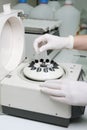 Sample in centrifuge Royalty Free Stock Photo