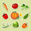 Sample design of placard with cute ripe vegetables. Sketch of poster with striped texture backdrop, banner, placard