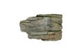 Sample of petrified wood rock isolated on white background. Royalty Free Stock Photo