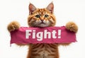 Motivational message. Cat showing banner with text \