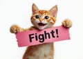Cartoon-like orange tabby kitten holding a pink banner with word \
