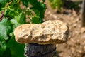 Sample of soil, flint stone, vineyards of Pouilly-Fume appellation, making of dry white wine from sauvignon blanc grape growing on Royalty Free Stock Photo