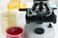 Sample test in laboratory microscope Royalty Free Stock Photo