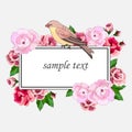1605 sample text, vector illustration, Banner for text in a frame with flowers and bird