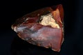 Sample of an untreated red flint with a conchoidal fracture Royalty Free Stock Photo