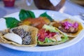 Sampler food, Yucatan food Royalty Free Stock Photo