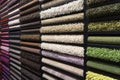 Samples of carpets of different colors on a stand in a store or production. Multi-colored carpet samples on the floor Royalty Free Stock Photo