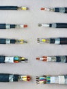 Samples of electric power cable at exhibition Royalty Free Stock Photo