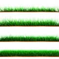 Samples of green color grass