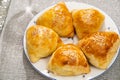 Samsa on plate. fried in oil or baked national oriental dish with salty filling Royalty Free Stock Photo