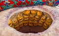 The samsa in tandoor Royalty Free Stock Photo