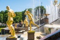 Samson fountain inside of the summer palace of peter the great in Saint Pertersburg, Russia