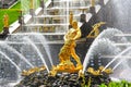 Samson Fountain in Peterhof Palace, Russia Royalty Free Stock Photo