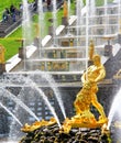 Samson Fountain in Peterhof Palace, Russia Royalty Free Stock Photo