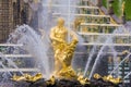 Samson fountain in Peterhof, Russia Royalty Free Stock Photo