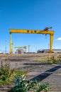 Samson and Goliath. Famous shipyard cranes in Belfast Royalty Free Stock Photo