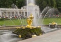 Samson with lion back golden sculpture at peterhof palace with tourist