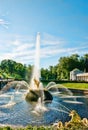 Samson and lion fountain in Peterhof, Russia Royalty Free Stock Photo