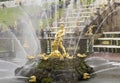 Samson with lion main baroque golden sculpture of peterhof palace